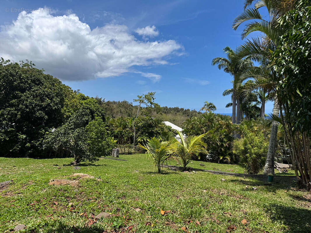 Terrain à SAINT-DENIS