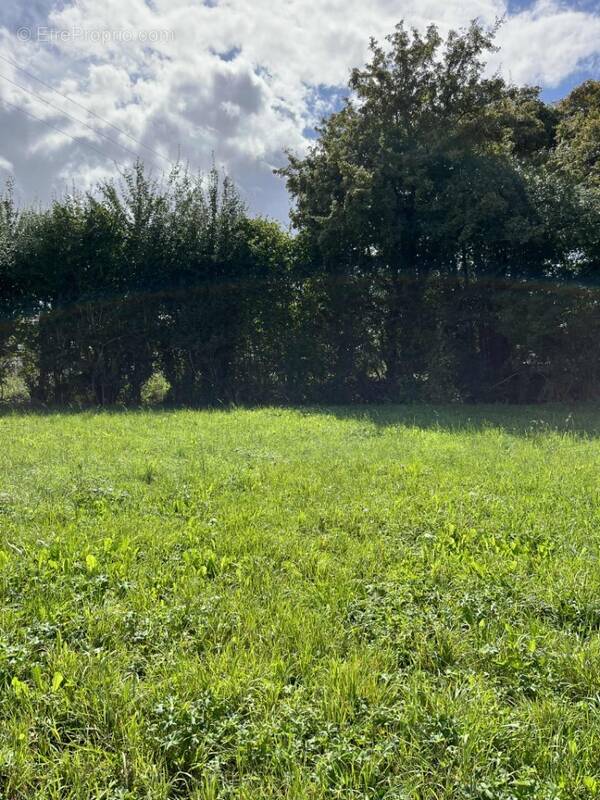 Terrain à LE CHEVAIN