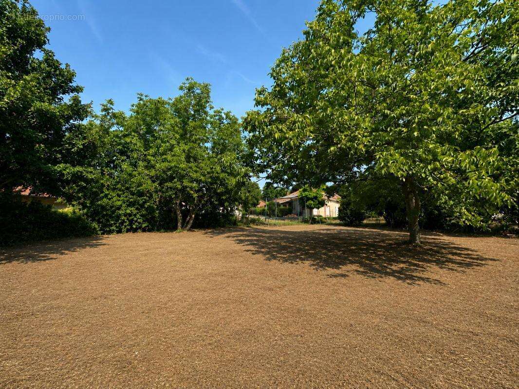 Terrain À Vendre 1119m² - photo 2