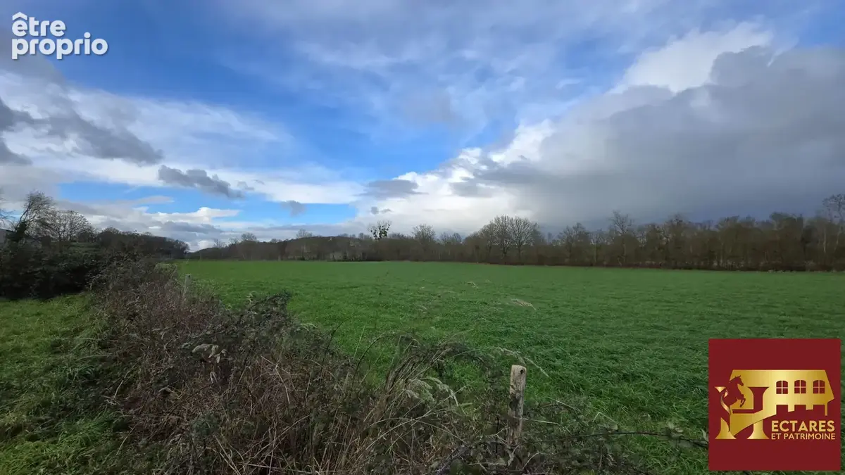 EXCLUSIVITE - Propriété Equestre sur 6 hectares - photo 3