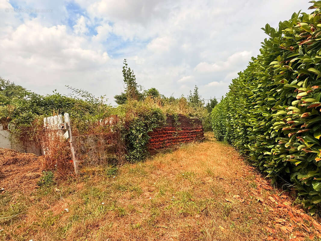 Maison avec terrain - Mennecy - 854m2 terrain - photo 15