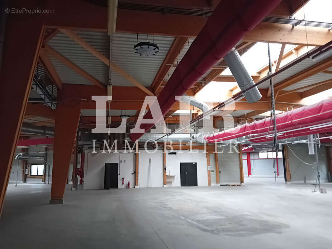 Commerce à BERD&#039;HUIS