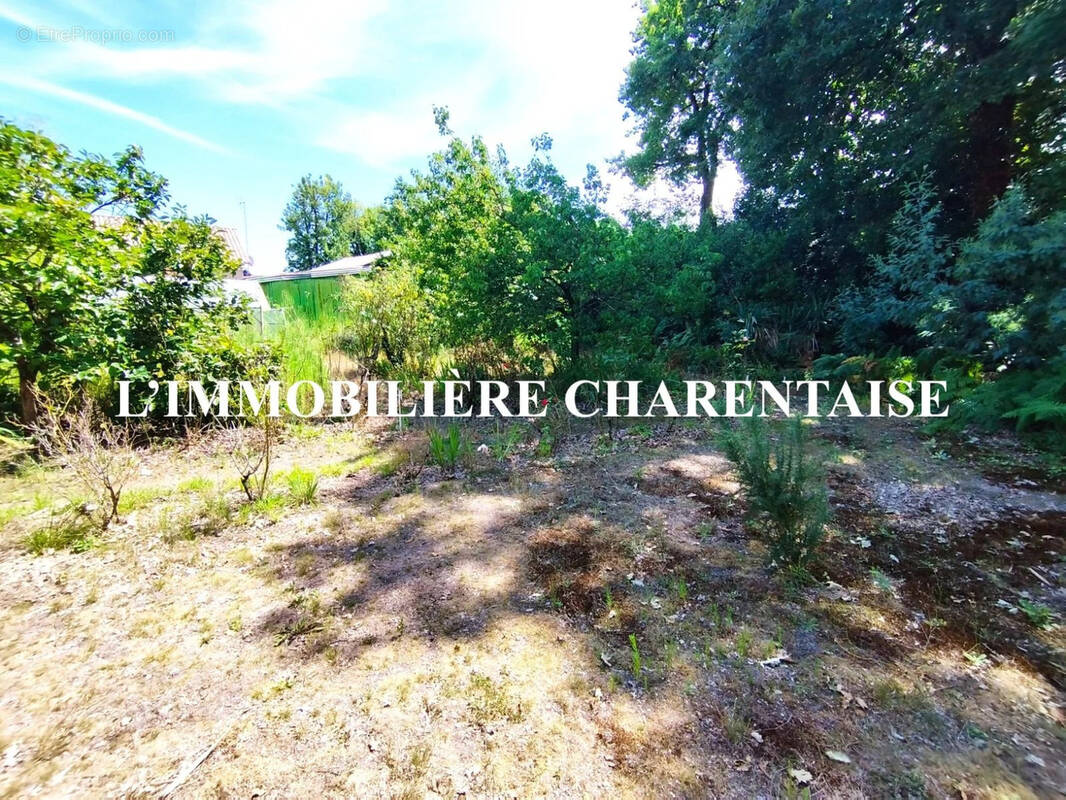Terrain à BREUILLET