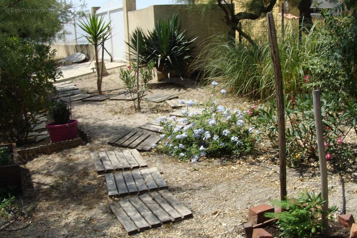 Maison à FRONTIGNAN