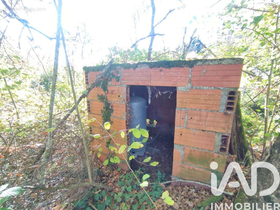 Photo 5 - Terrain à LA SALVETAT-BELMONTET