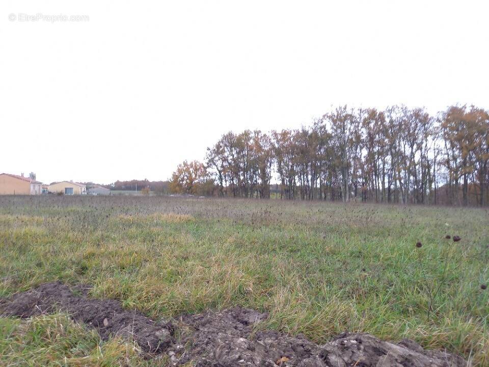 Terrain 898 m² à Montdurausse  - photo 1