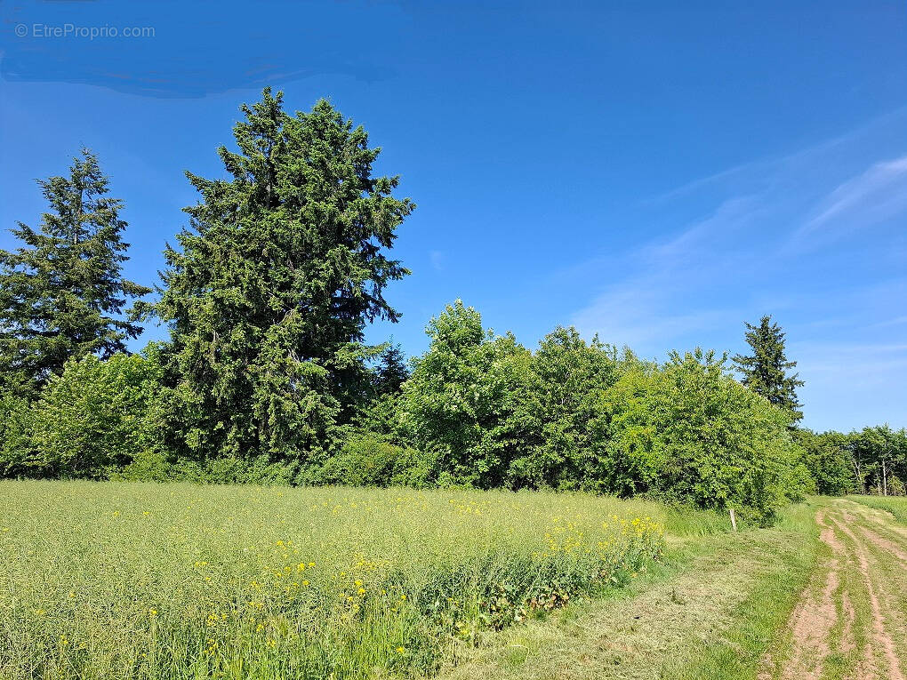 Autre à BADONVILLIERS-GERAUVILLIERS