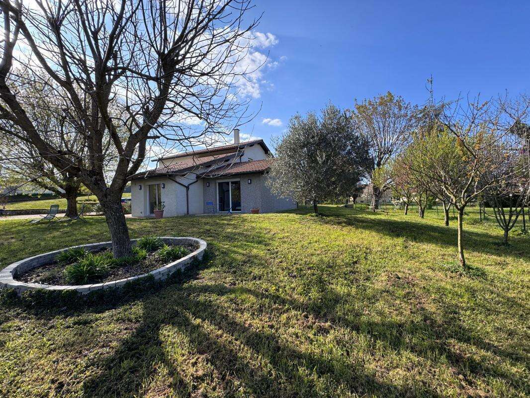 Maison à SAINT-ROMAIN-DE-JALIONAS