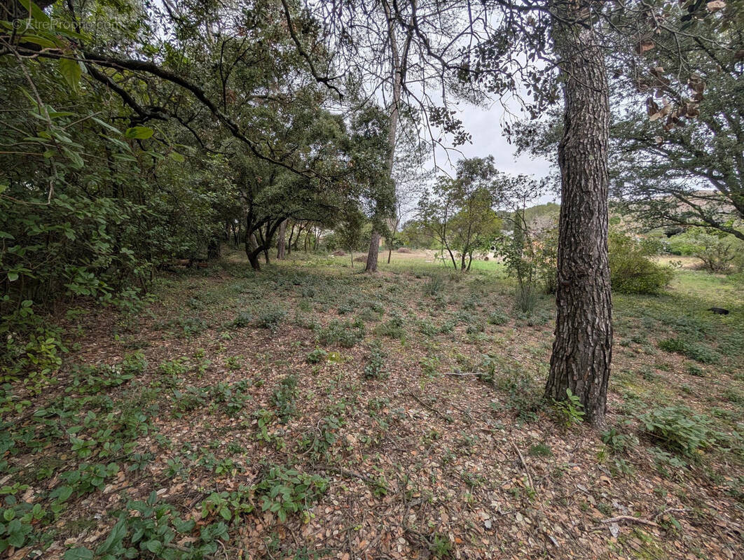 Terrain à SAINT-VINCENT-DE-BARBEYRARGUES