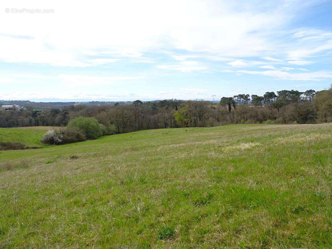 Landes 40250 Caupenne, propriété 21 ha avec habitation et dépendances - photo 13