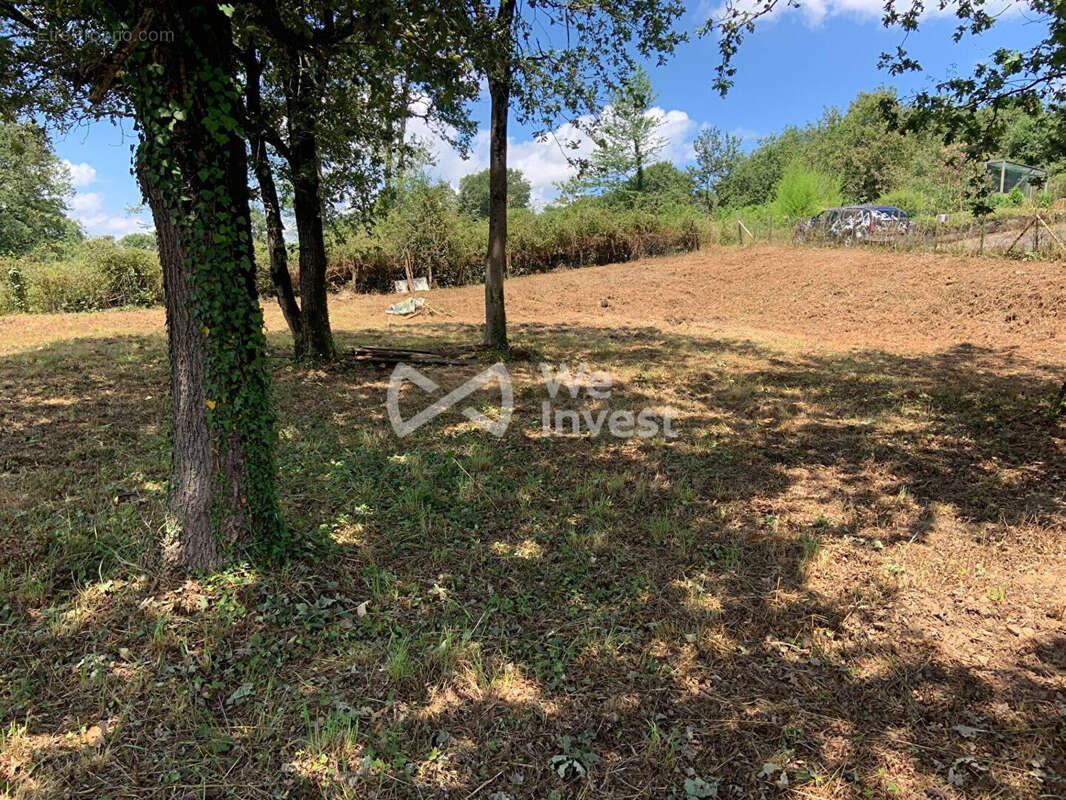 Terrain à LABASTIDE-MONREJEAU