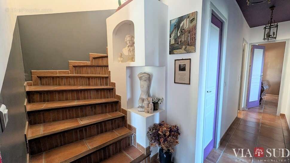 Arrière Pays, Belle villa languedocienne avec studio indépendant - photo 9