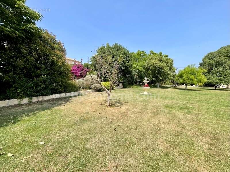 Maison à BELLEGARDE