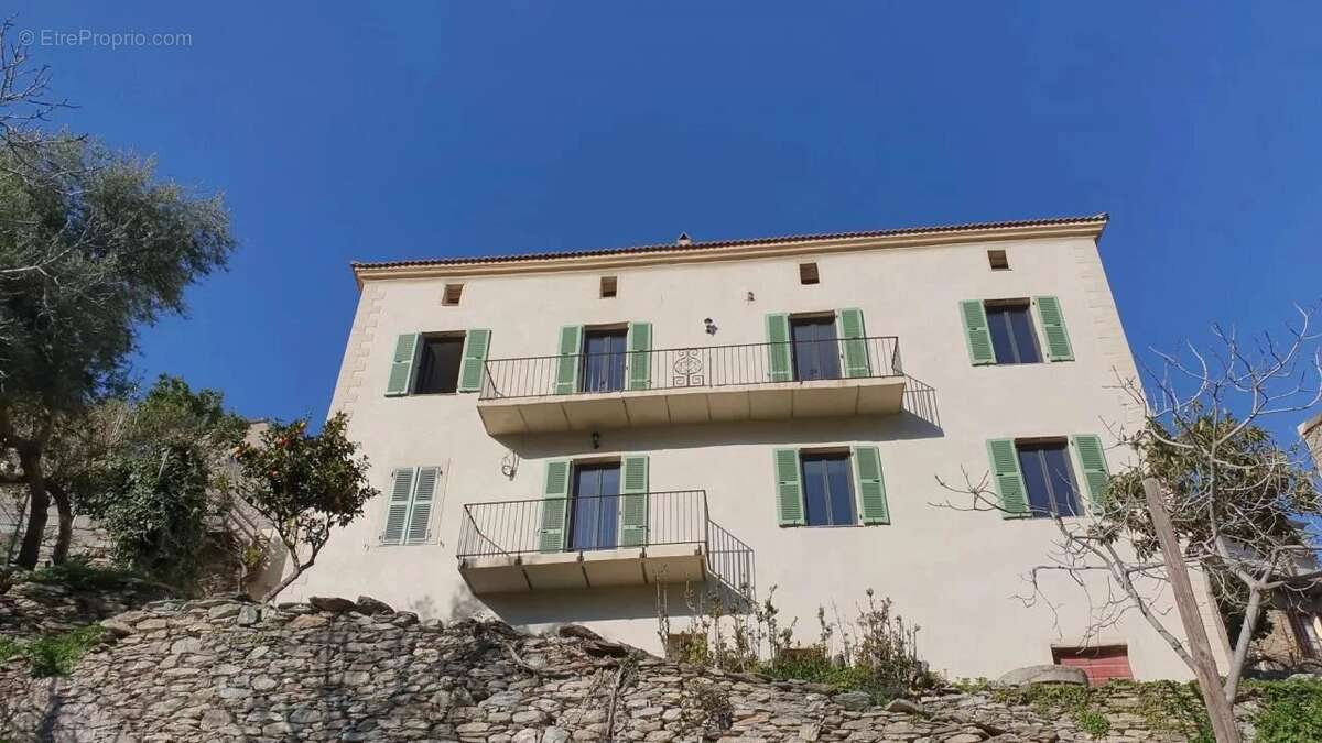 Propriété de charme Santo-Pietro-di-Tenda près Saint-Florent - photo 3