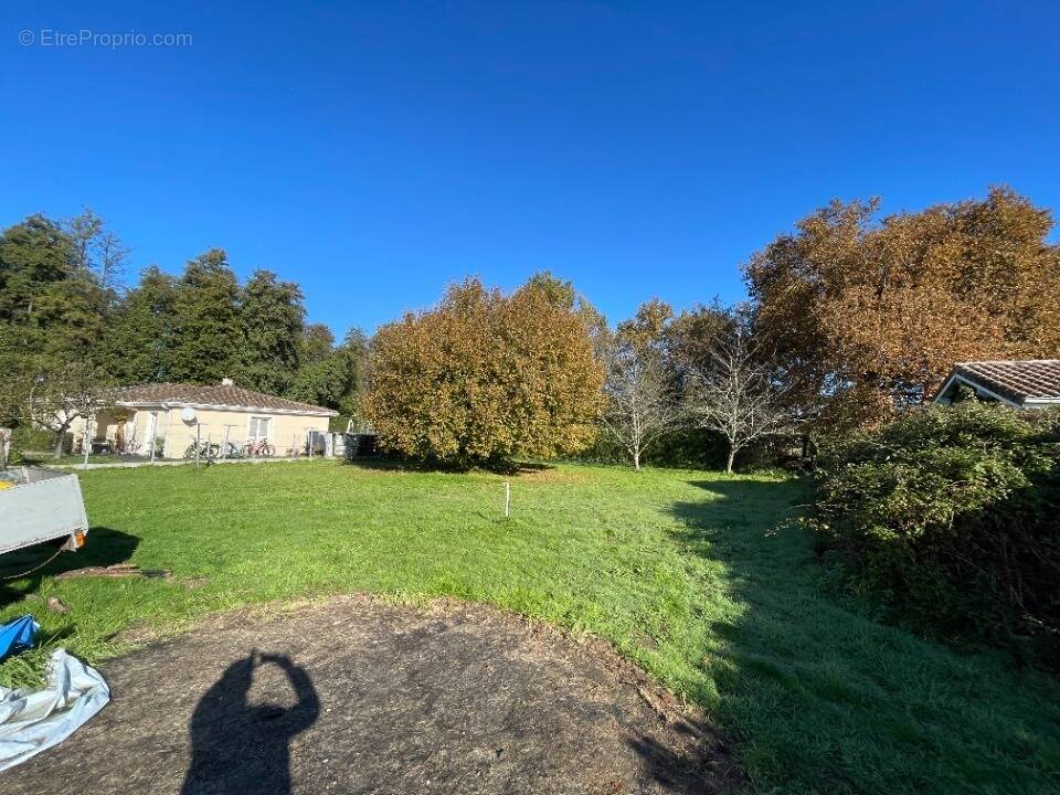 Terrain à MARTILLAC