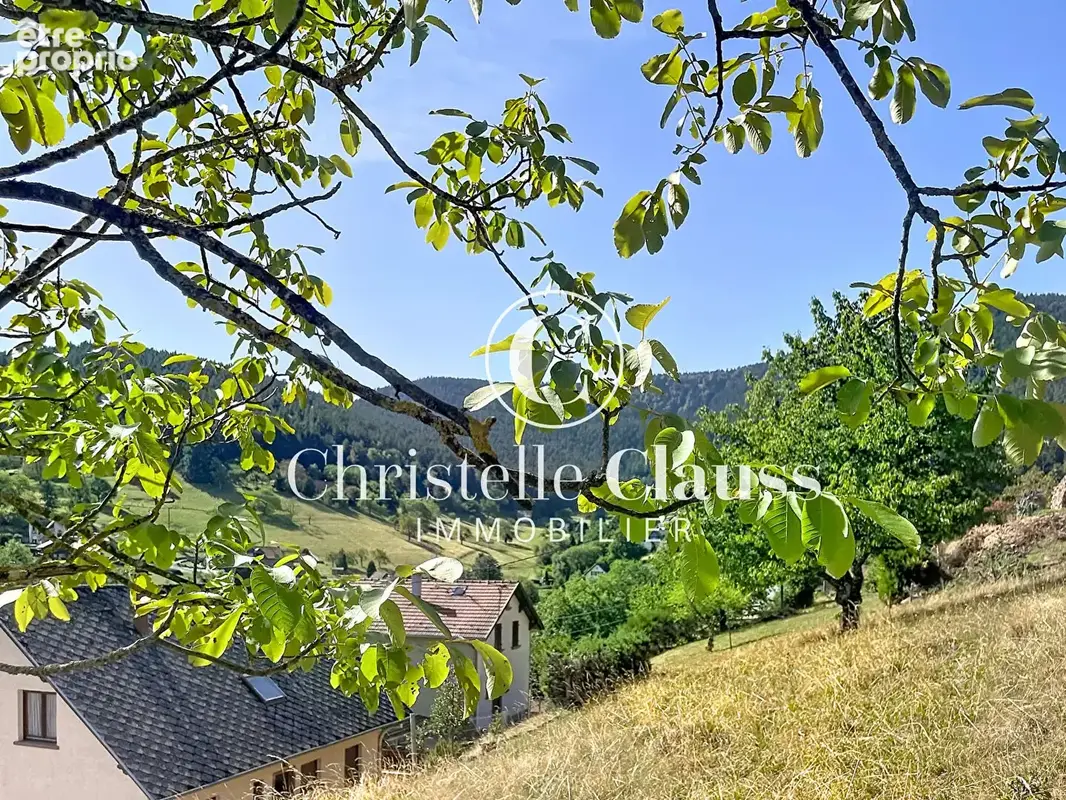 Wangenbourg-Engenthal terrain à construire de 1548 m2 - photo 2