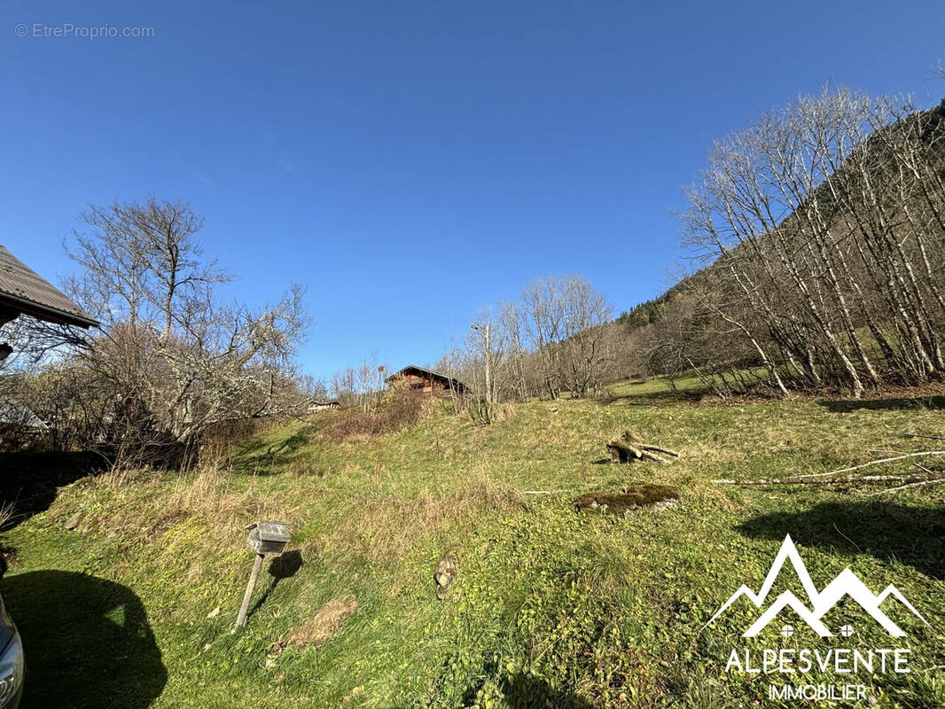 avendre_terrain_constructible_stjeandaulps_alpesvente - Terrain à SAINT-JEAN-D&#039;AULPS