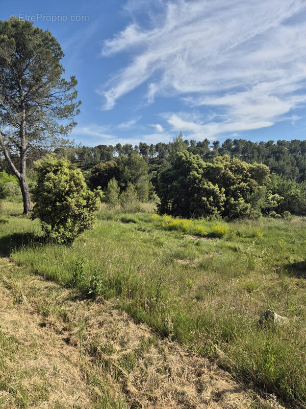 Terrain à LAMBESC