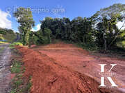 Terrain à LE LAMENTIN