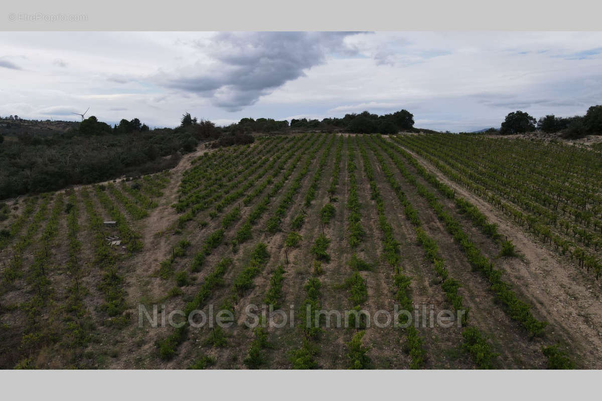Terrain à RASIGUERES