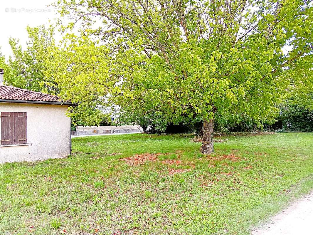 Maison à SAINT-PARDON-DE-CONQUES