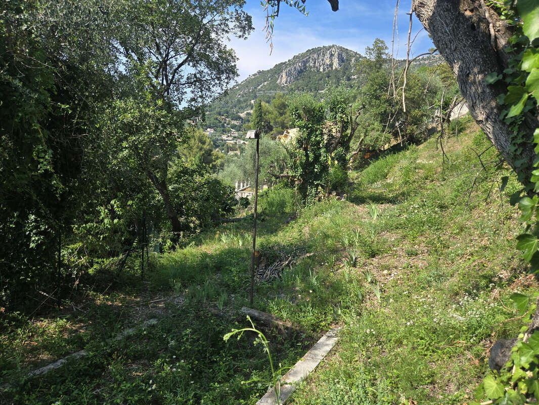Terrain à CASTAGNIERS