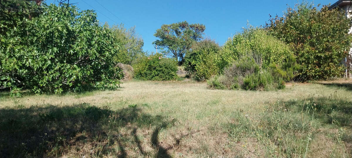 Terrain Serpaize 910 m2 - photo 3