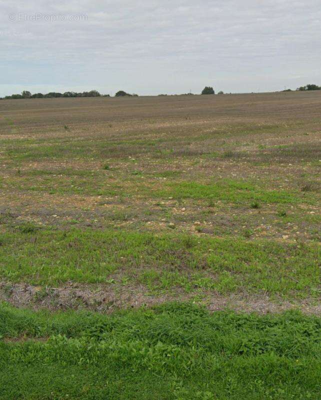 Terrain à VILLEDOUX