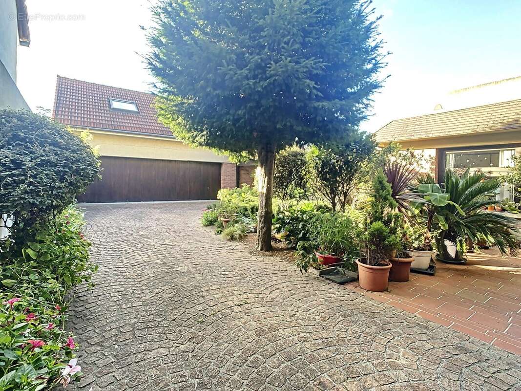 Maison à MAISONS-ALFORT