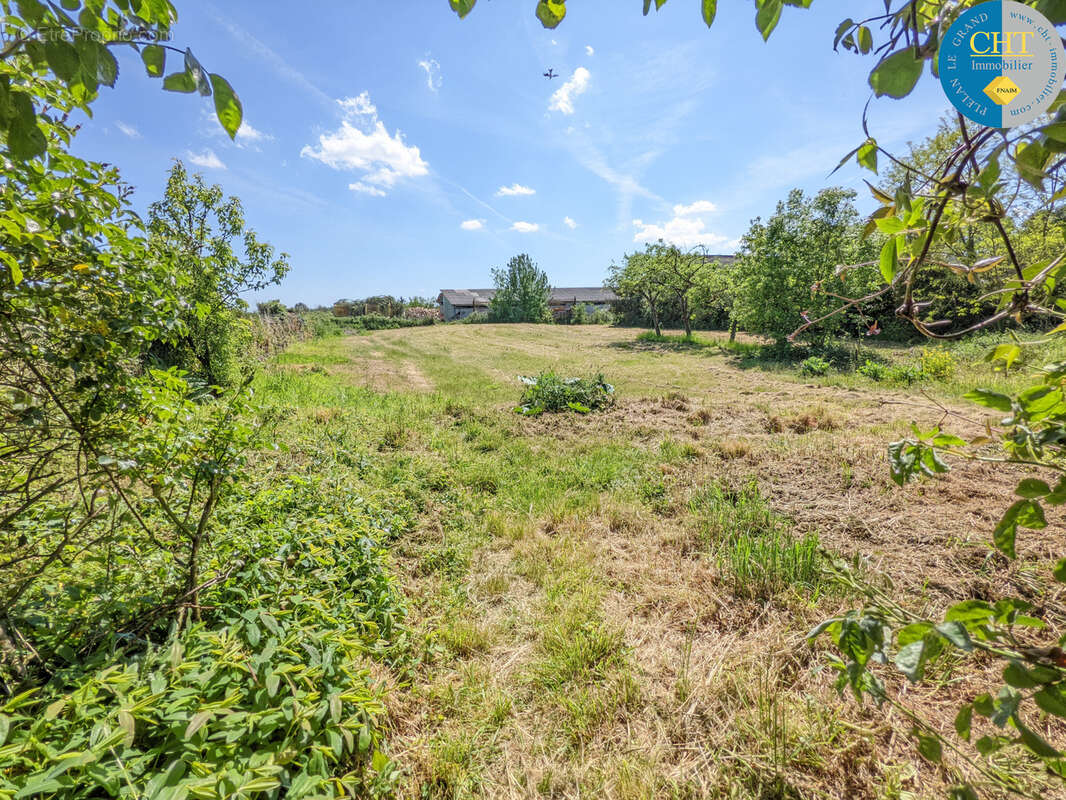 Un Manoir en Brocéliande à acheter avec CHT Immobilier - photo 46