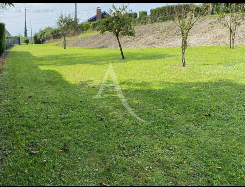Terrain à TOURNEHEM-SUR-LA-HEM