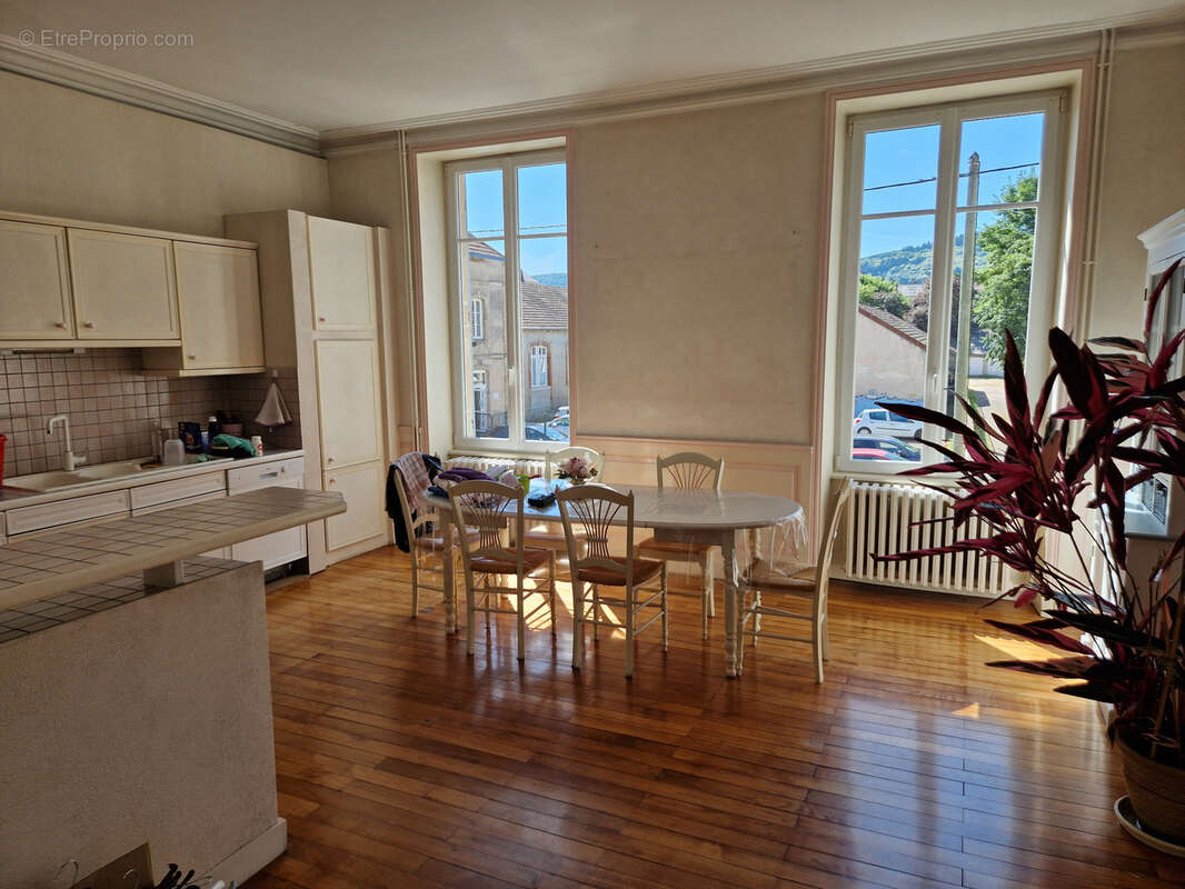 Centre ville maison de maître de 540 m2 - photo 3