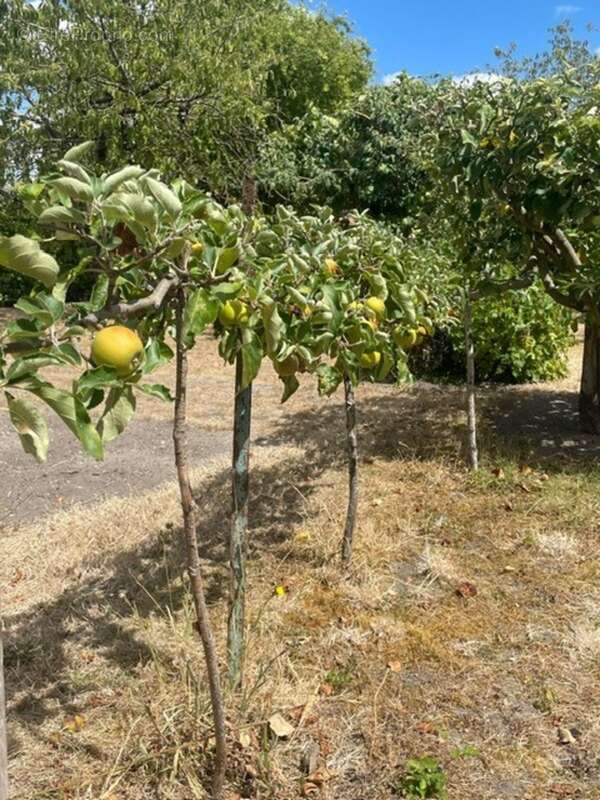 Maison à vendre 6 pièces CHILLEURS AUX BOIS (45) - photo 18