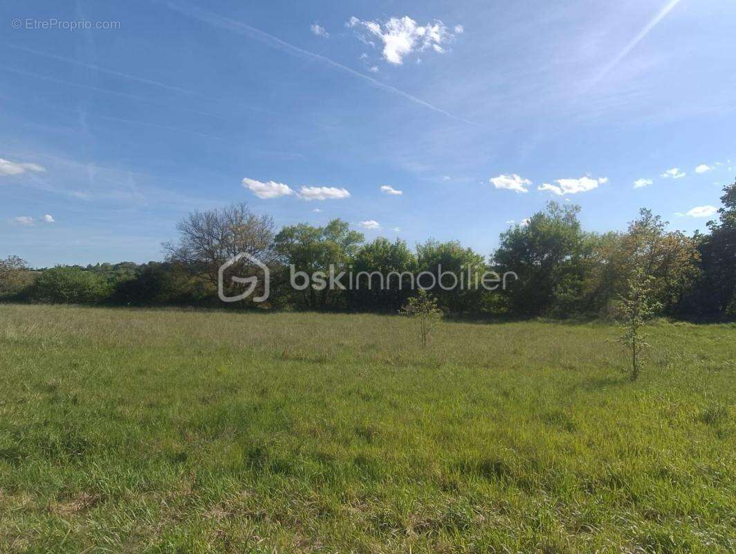 Terrain à LA ROMIEU