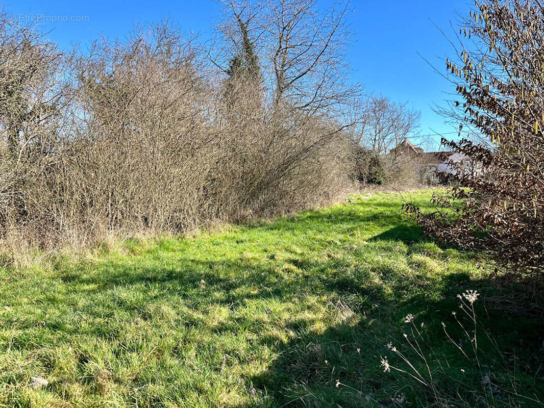 Terrain à VILLEFARGEAU
