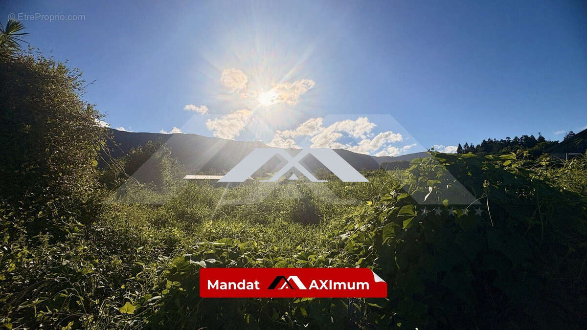 Terrain à SAINT-JOSEPH