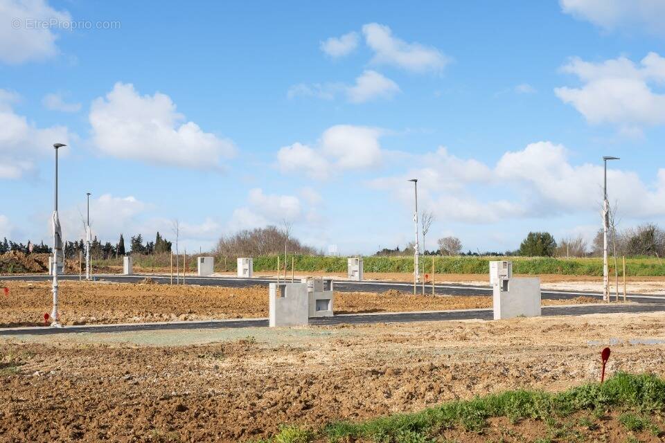 Terrain à LE CAILAR