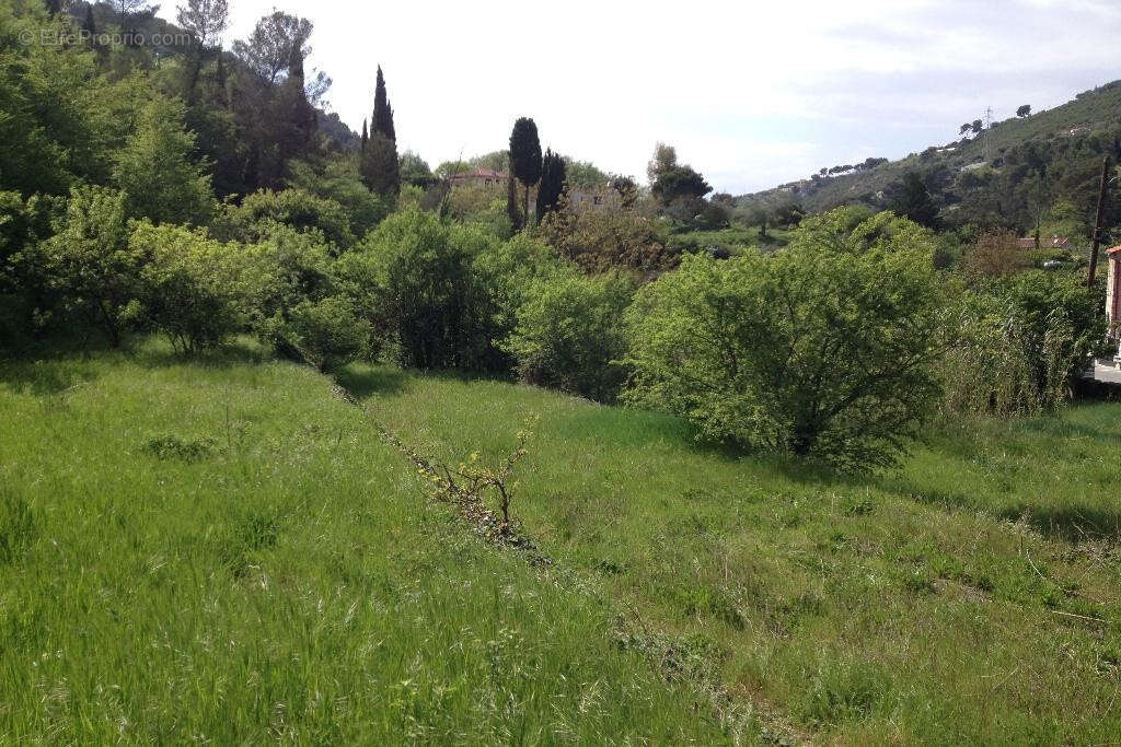 Terrain à LA TRINITE