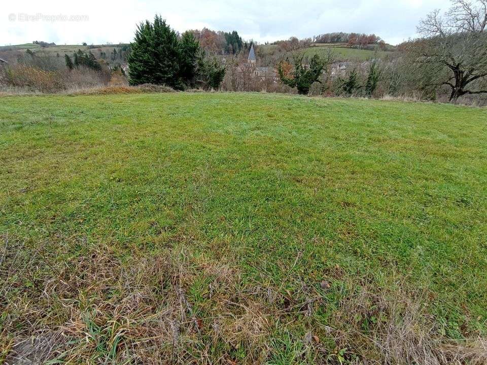 Terrain à FERRIERES-SUR-SICHON