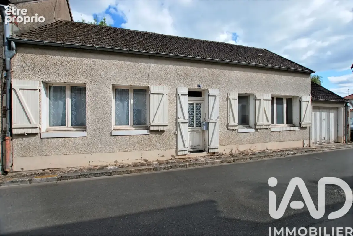 Photo 1 - Maison à OUZOUER-SUR-TREZEE