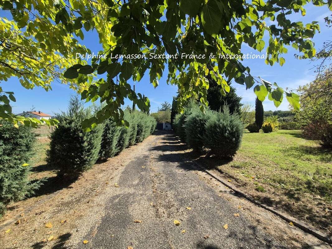 Maison à MIRAMONT-DE-GUYENNE