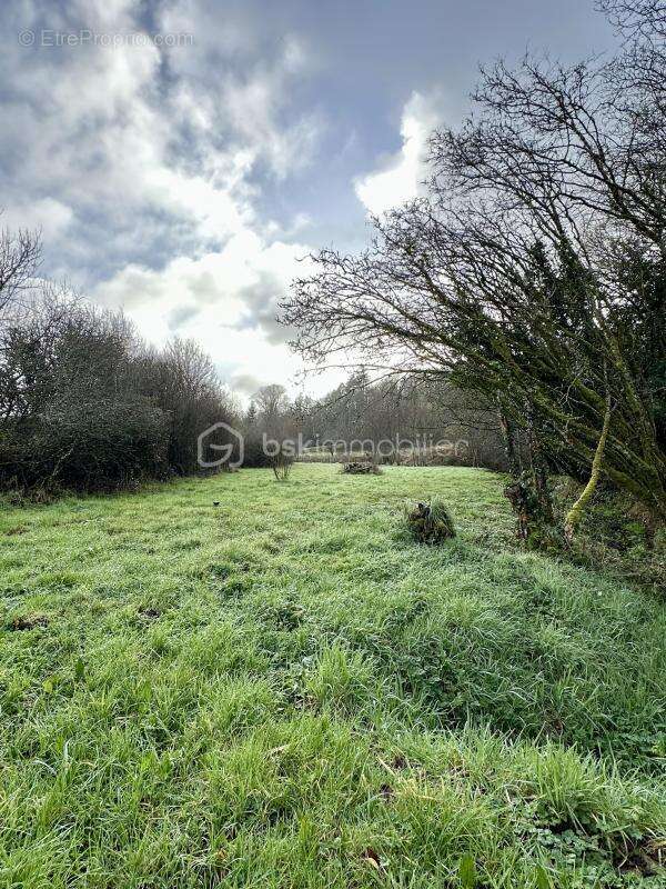 Maison à PONT-DE-BUIS-LES-QUIMERCH