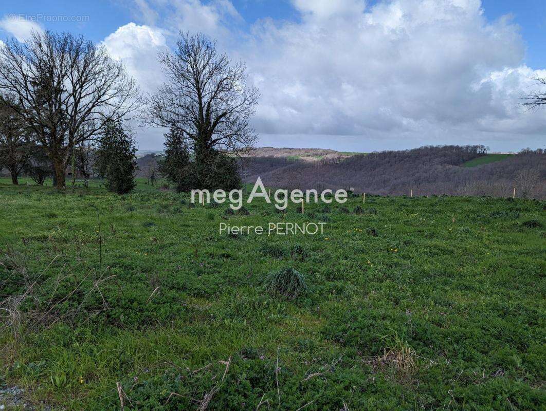 Terrain à PAULINET