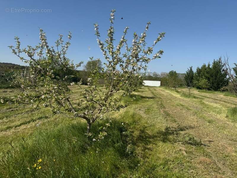 Terrain de loisirs de 2600m² à vendre à COLLIAS (30) - Environnement naturel privilégié - photo 4