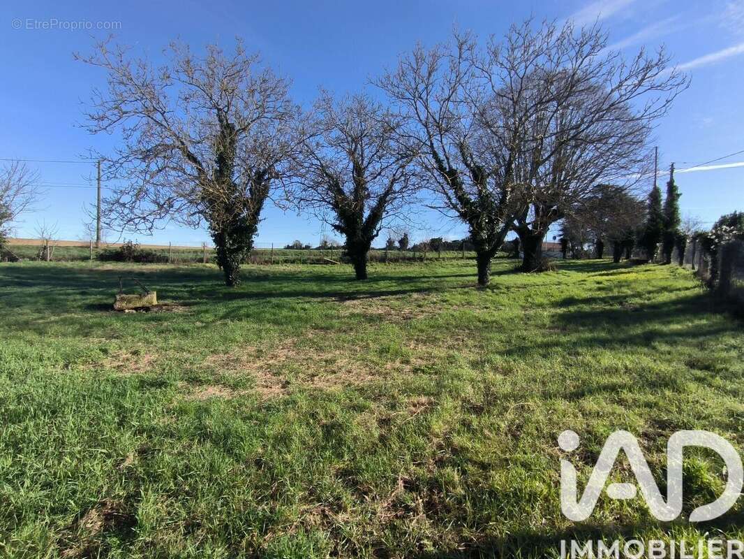 Photo 2 - Terrain à MONTAMISE