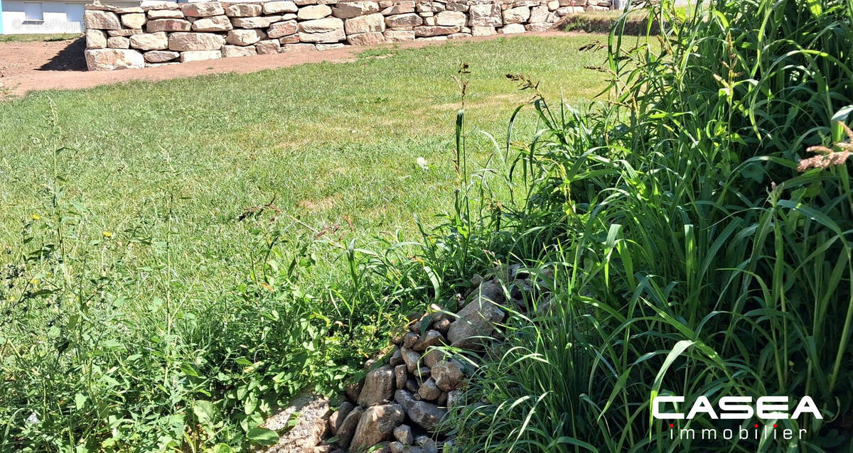 Terrain à SAINT-YVI