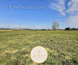 Terrain à VIVIERS-LES-LAVAUR