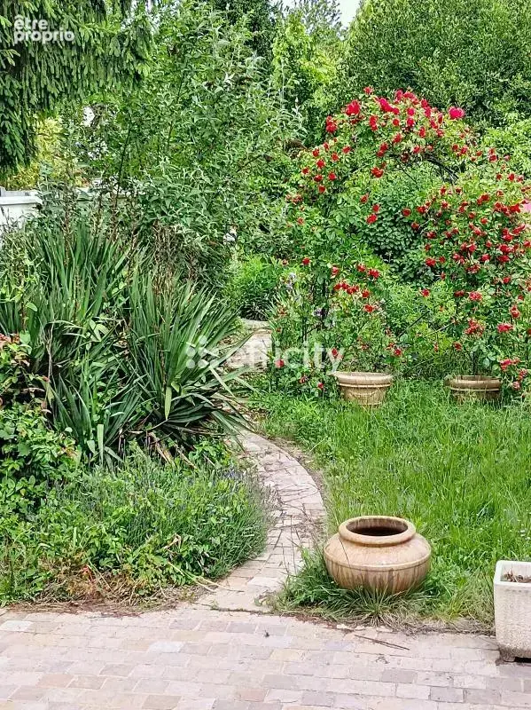 Maison de ville - photo 12