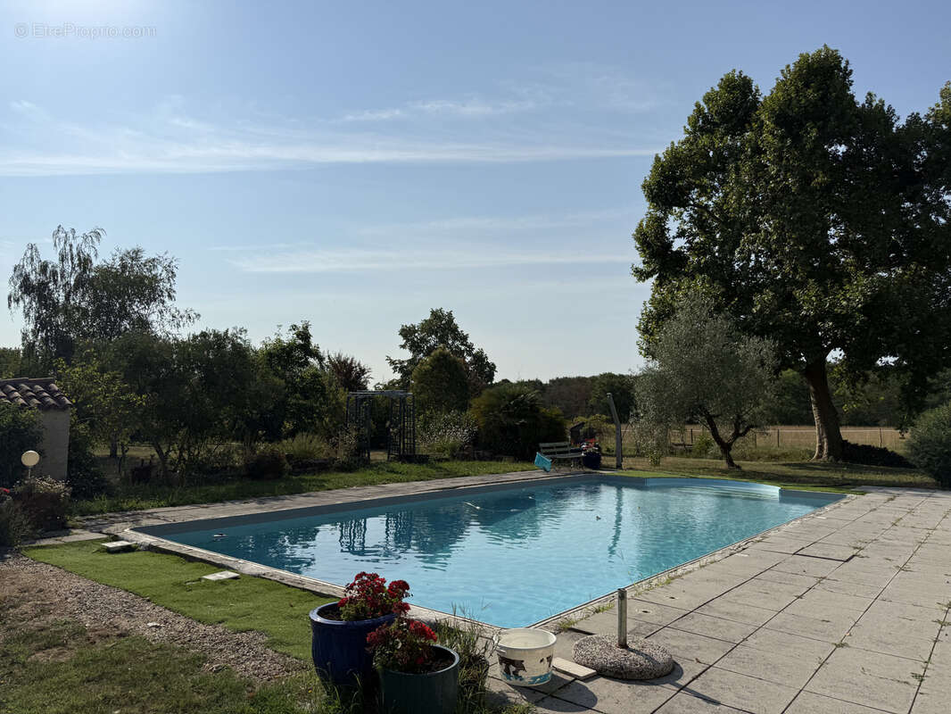 Maison de maitre avec dépendances et piscine au calme sur 11ha à Castelnau d’Auzan Labarrère - photo 20