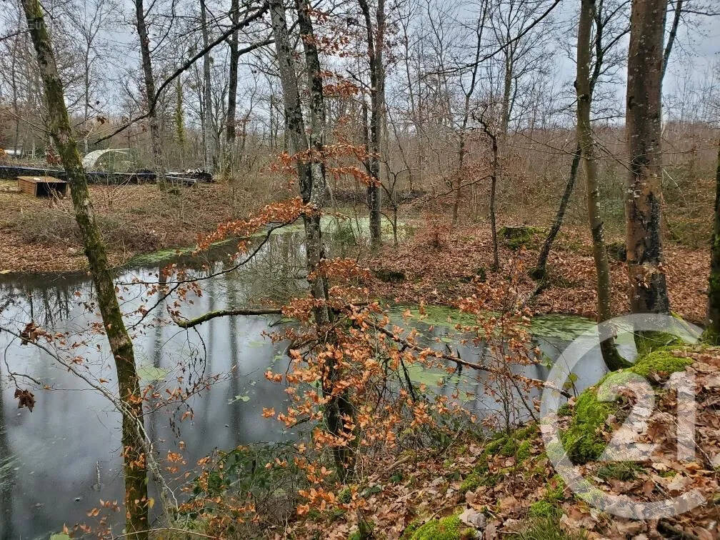 Terrain à MARAYE-EN-OTHE